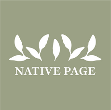 Native Page